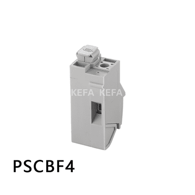 PSCBF4